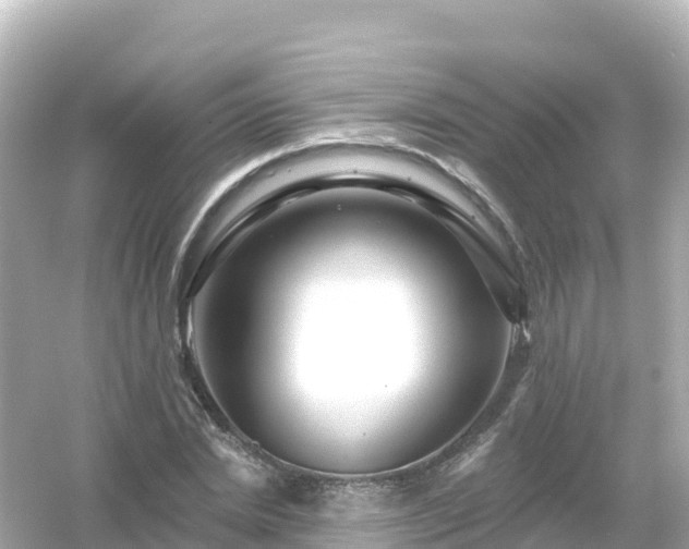 X0000054460830200508051948