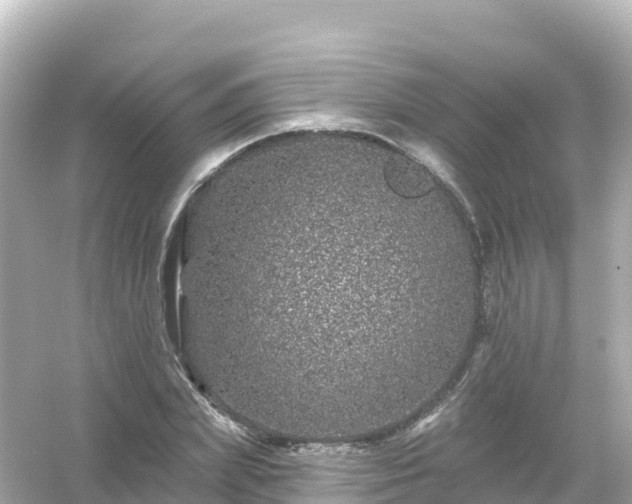 X0000054460831200508051948