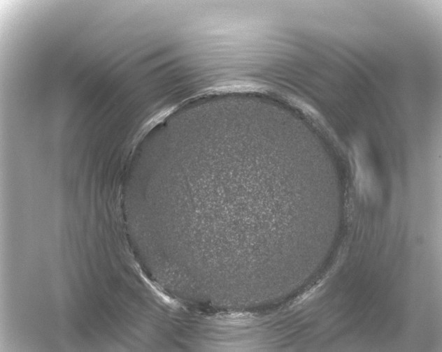 X0000054460833200508051948