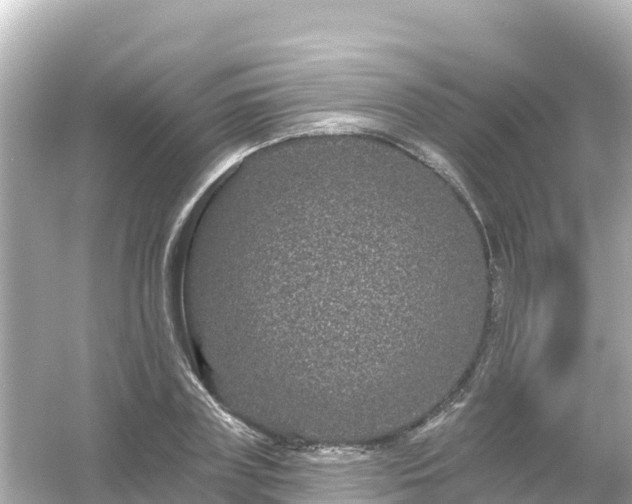 X0000054460835200508051948