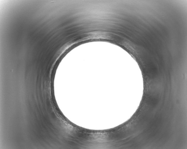 X0000054460836200508051948