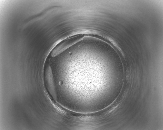 X0000054460837200508051949