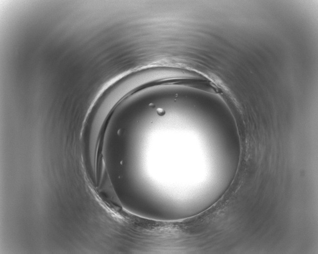 X0000054460838200508051949