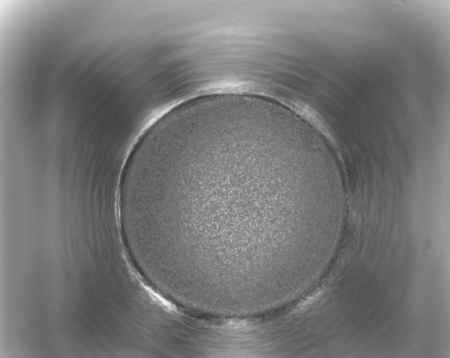 X0000054460839200508051949