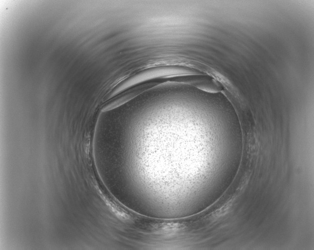 X0000054460841200508051949