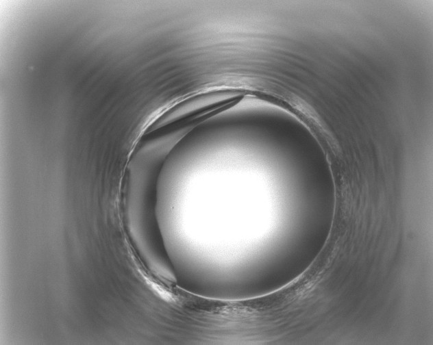 X0000054460842200508051949