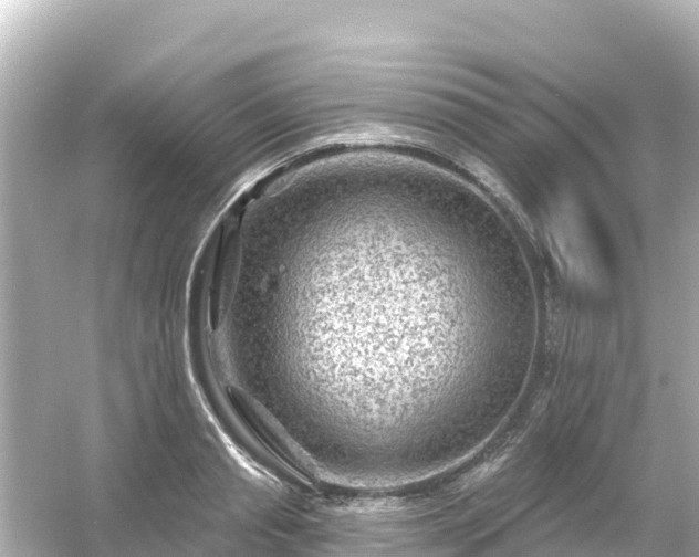 X0000054460845200508051949