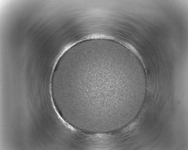 X0000054460847200508051949