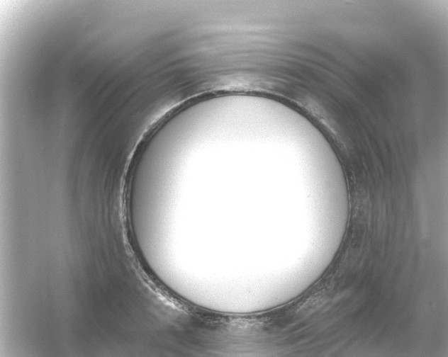 X0000054460848200508051949