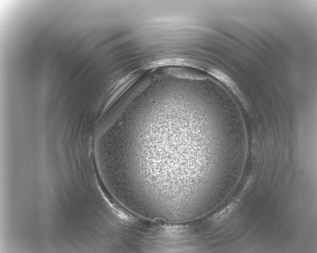 X0000054460849200508051949