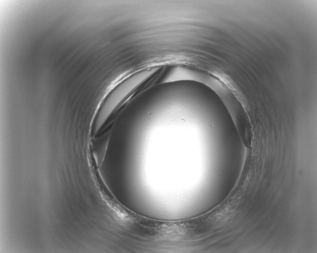 X0000054460850200508051949