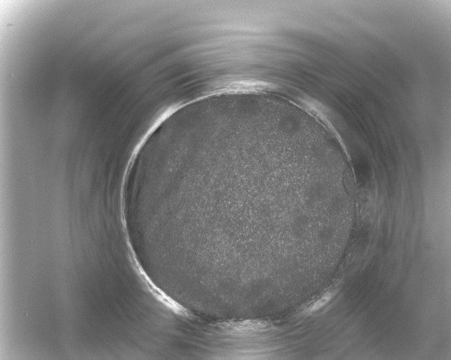 X0000054460851200508051949