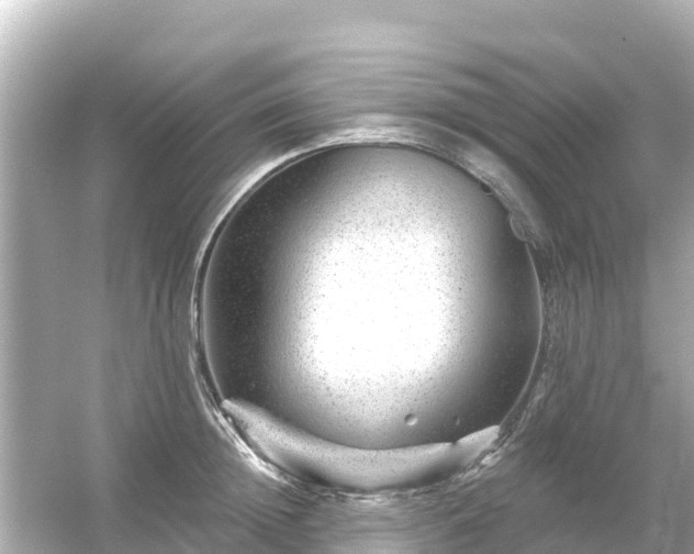 X0000054460852200508051949