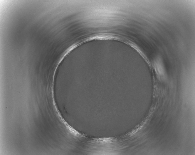 X0000054460853200508051949