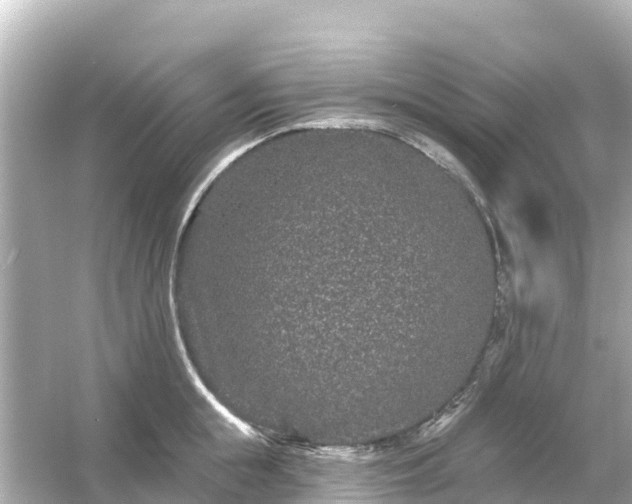 X0000054460855200508051949