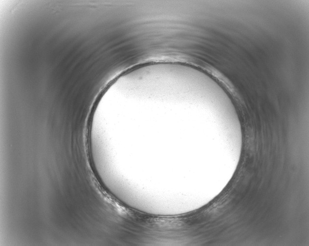 X0000054460856200508051949