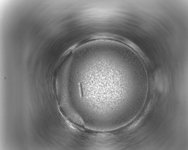 X0000054460857200508051949