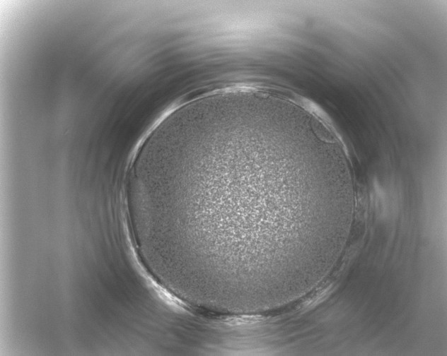 X0000054460859200508051949