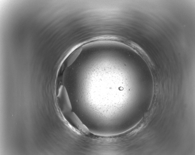 X0000054460860200508051949