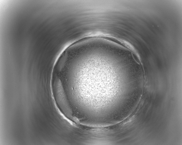 X0000054460863200508051949