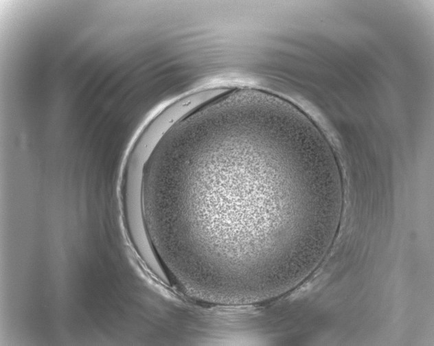 X0000054460864200508051949