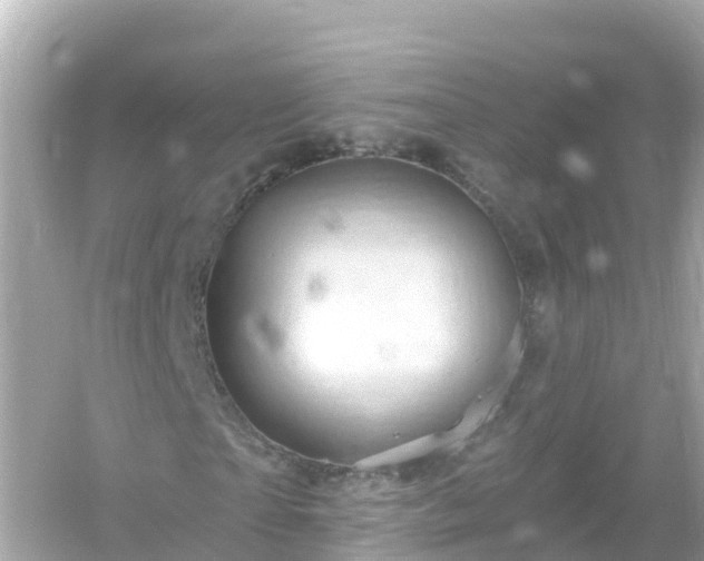 X0000054460865200508051948