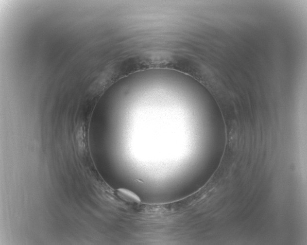 X0000054460866200508051948