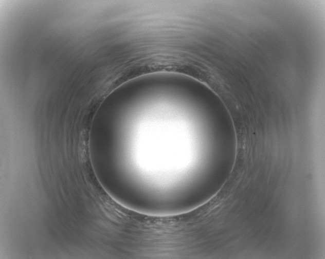 X0000054460868200508051948