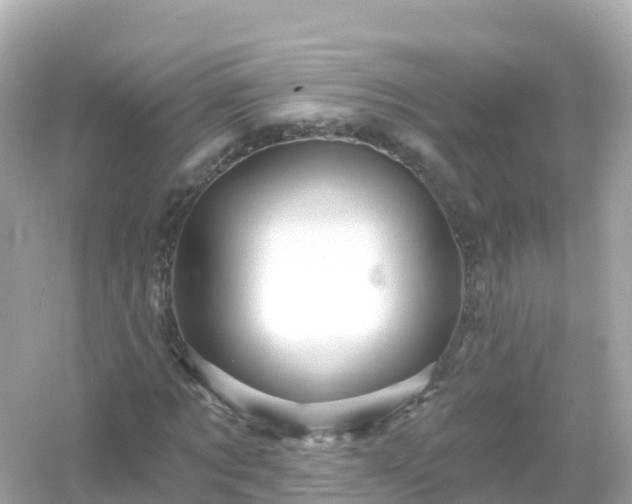 X0000054460869200508051948