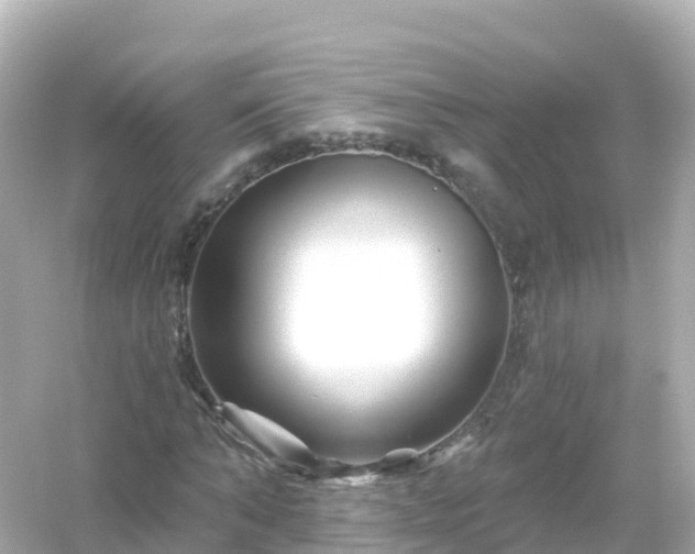 X0000054460870200508051948