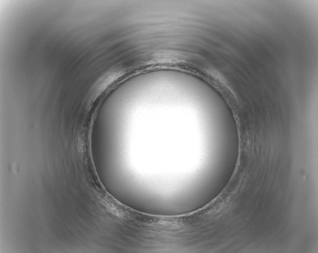 X0000054460874200508051948