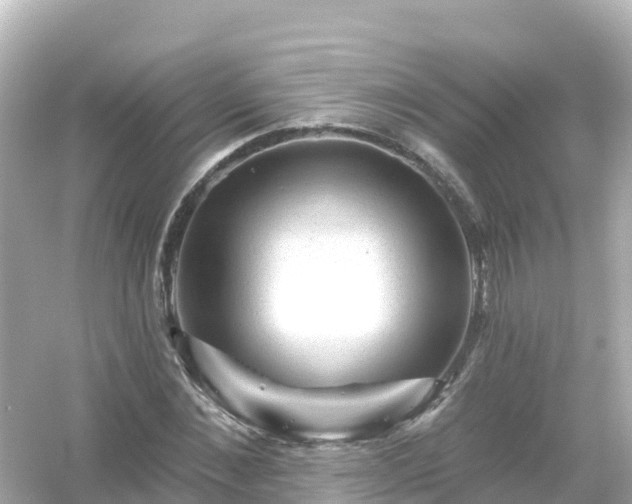 X0000054460876200508051948