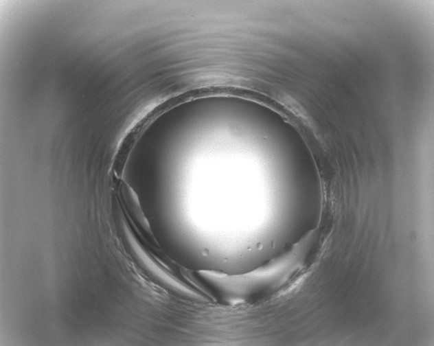 X0000054460877200508051948