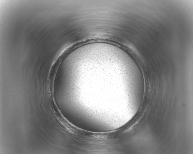 X0000054460878200508051948