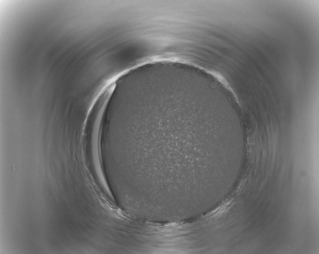 X0000054460879200508051948