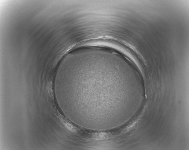 X0000054460881200508051948