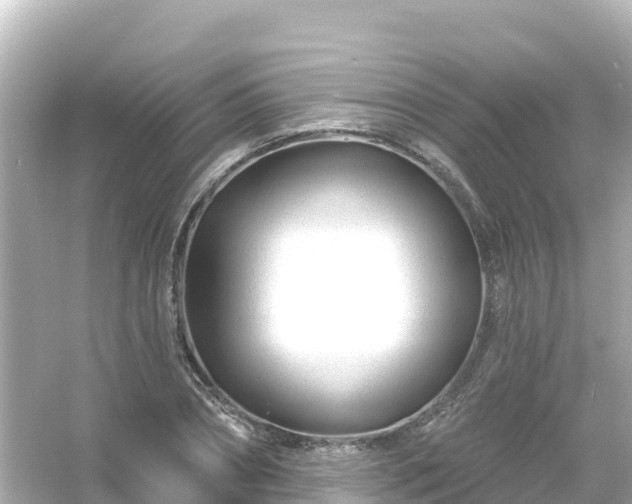 X0000054460882200508051948