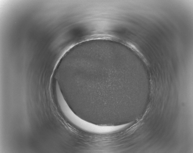 X0000054460883200508051948