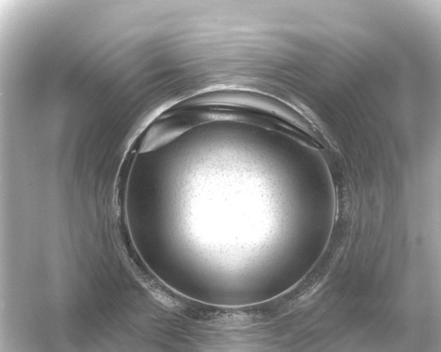 X0000054460885200508051948