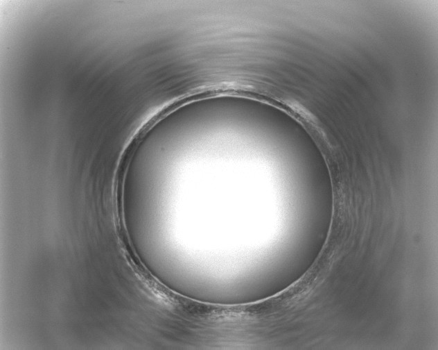 X0000054460886200508051948