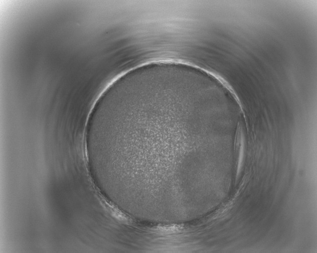 X0000054460887200508051948