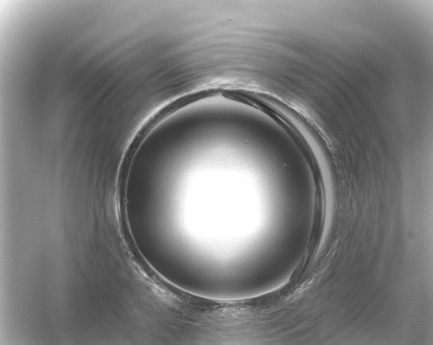 X0000054460888200508051948