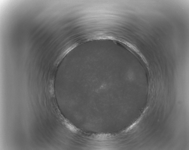 X0000054460889200508051948