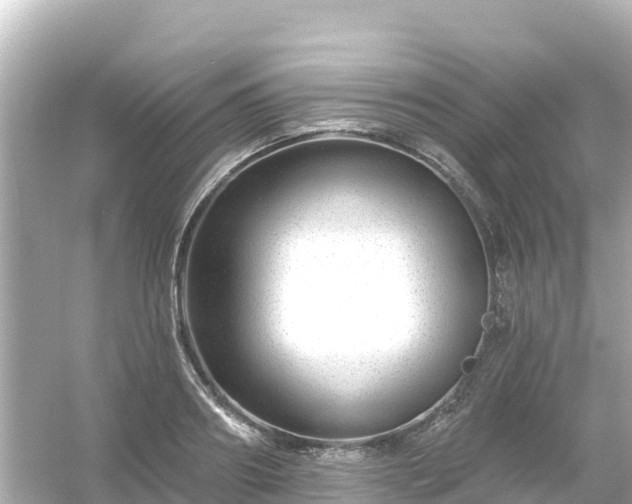 X0000054460890200508051948