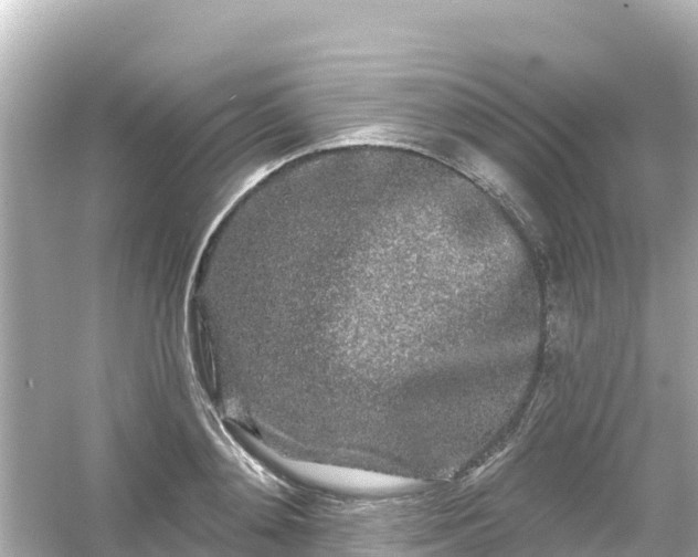 X0000054460892200508051948