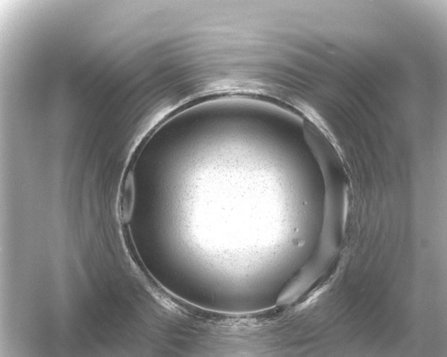 X0000054460893200508051948