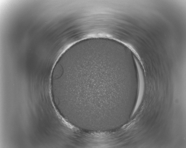 X0000054460895200508051948