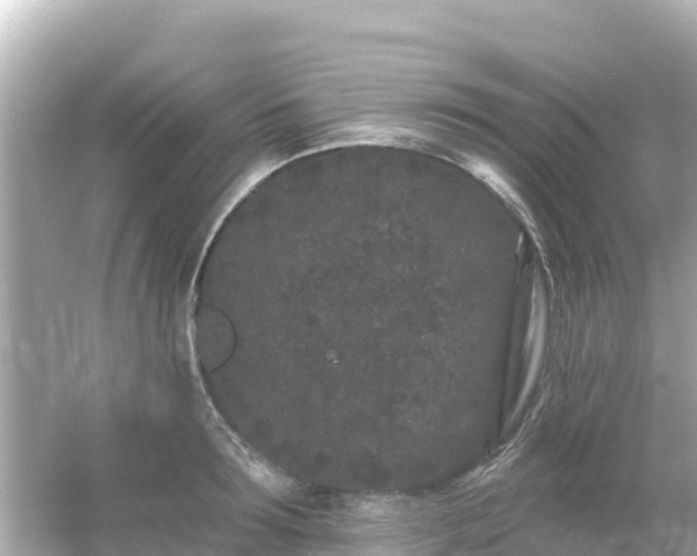 X0000054460899200508051948