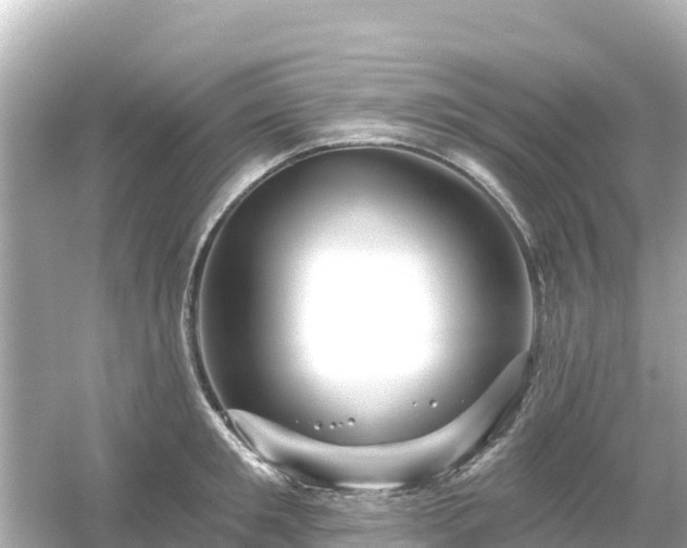 X0000054460901200508051948