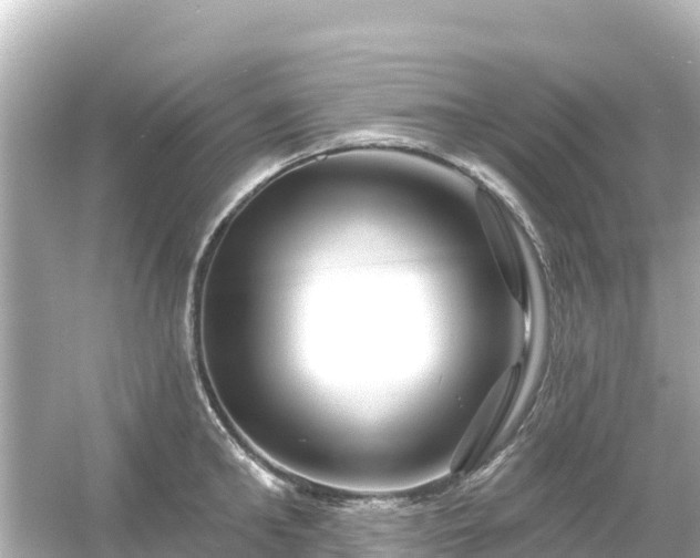 X0000054460902200508051948